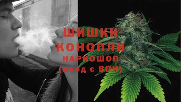 дмт Каменка