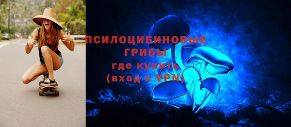 гидра Каменногорск