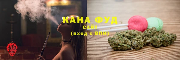 дмт Каменка