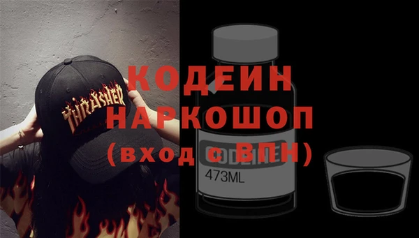 дмт Каменка