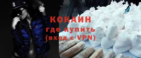 дмт Каменка