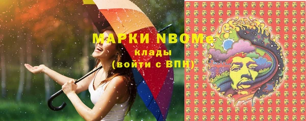 гидра Каменногорск