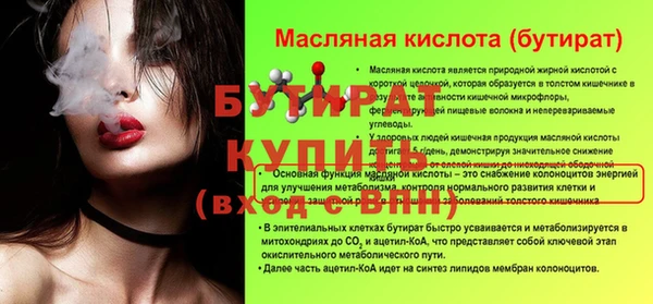 гидра Каменногорск