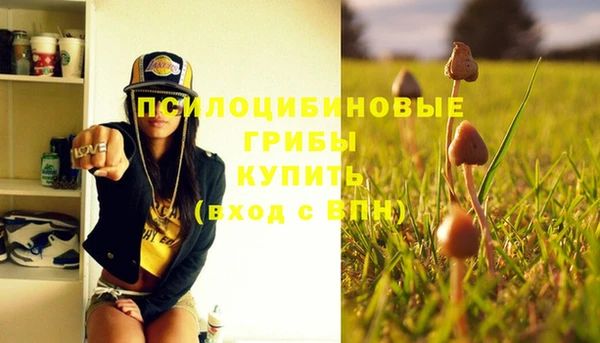 гидра Каменногорск
