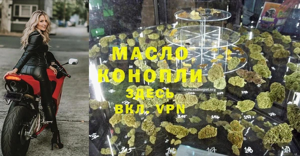 гидра Каменногорск