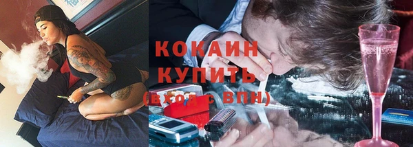 гидра Каменногорск
