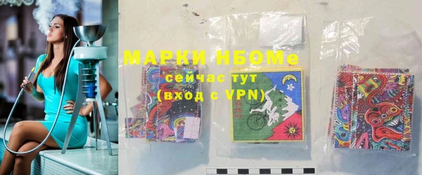дмт Каменка