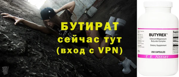 дмт Каменка