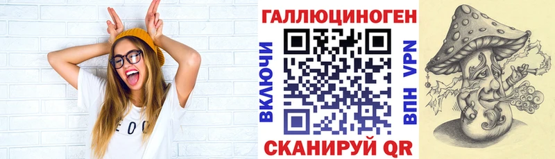 Купить где Шумиха Галлюциногенные грибы Psilocybe